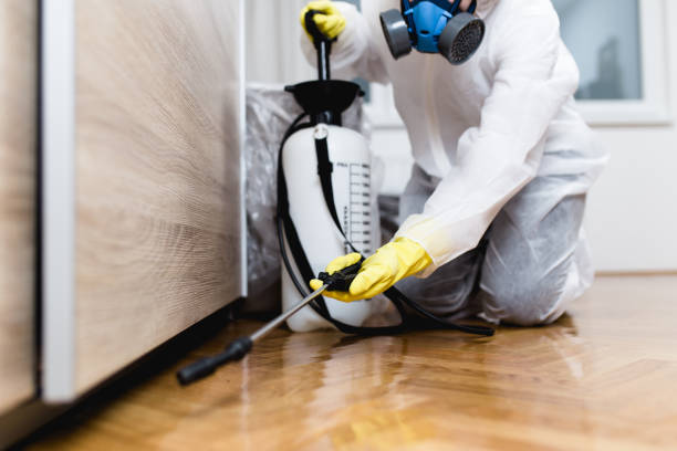 Best Best Pest Control Near Me  in Victory Gardens, NJ
