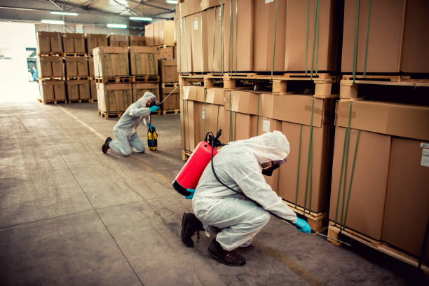 Best Best Pest Control Companies  in Victory Gardens, NJ