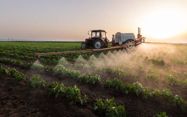  Victory Gardens, NJ Pest Control Pros