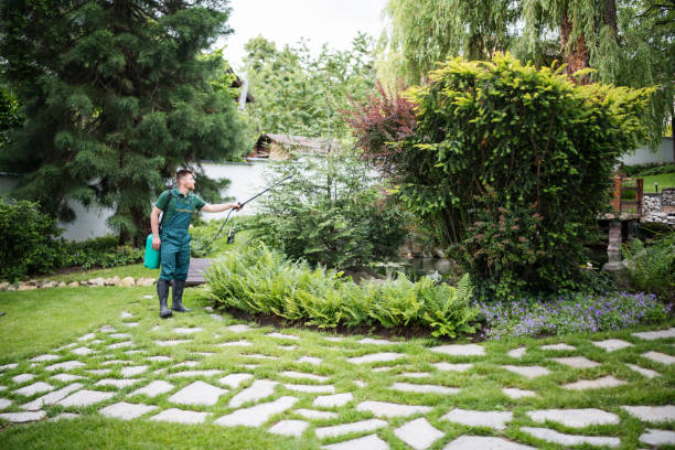 Best Pest Inspection Near Me  in Victory Gardens, NJ
