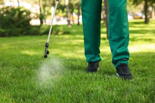 Best Ant Control Services  in Victory Gardens, NJ