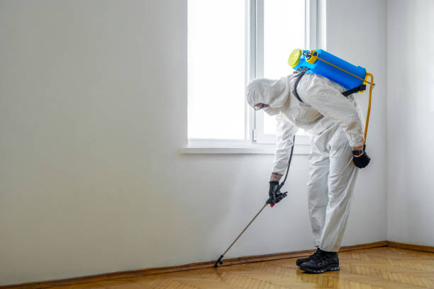 Best Insect Control  in Victory Gardens, NJ