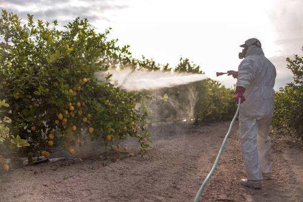 Wildlife Control Services in Victory Gardens, NJ