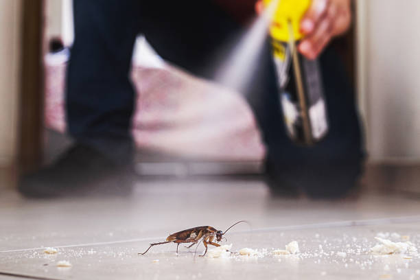 Best Pest Control for Homes  in Victory Gardens, NJ