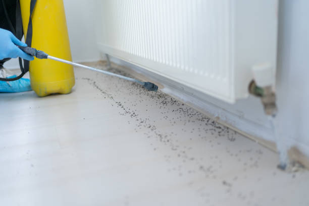 Best Pest Removal Services  in Victory Gardens, NJ