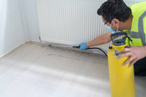 Best Commercial Pest Control Services  in Victory Gardens, NJ