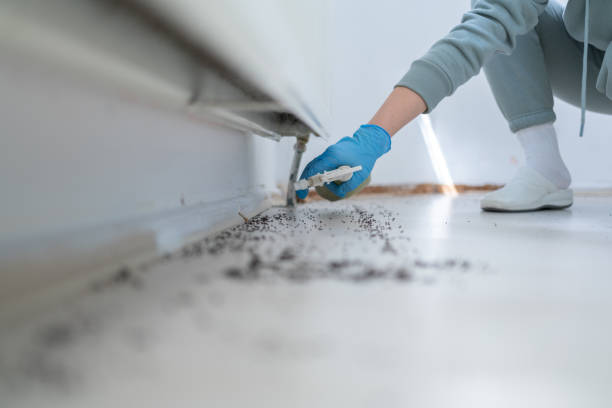 Best Affordable Pest Control Services  in Victory Gardens, NJ